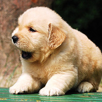 7����«�����¡���