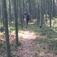 �����������֮��