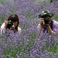 ���������������Ļ�Ѥ�á��Լ�~~2013.5.25����ͭɽ��