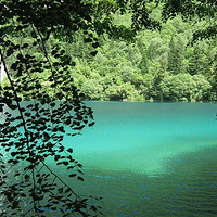 �����Ĵ���կ������