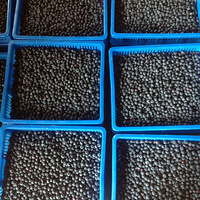 ������ݮ