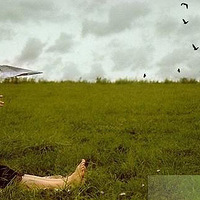 ֽ�ɻ������ǻص�Сʱ��