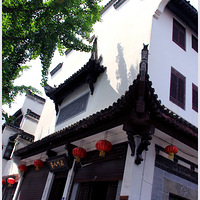 ���Ľ��ϵ��Ӿ�ʢ�磺���-���-��������Ƶ��