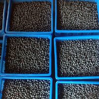 ��ݮ������ʳƷ