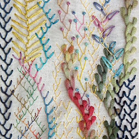 Ů��������------ Ư�����ֹ�����~~~~