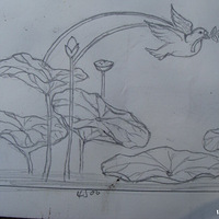 2013��������ׯ�ɻ�չʱ��6��24��