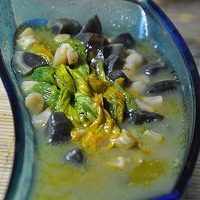 ��ѩ������������Ϲϻ�&�Ϲϻ�����