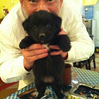 �ҿɰ�����ѽ�����Ϊʲôû��������Ϣ��