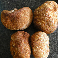 ���ݼ����Ķ���ڰ�����ĺ�ͷ��