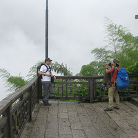 ����ϼ��Ҷȼٿ��Ļ���!