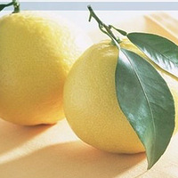 ����Ӧ�ö�Եġ�Ƥ��