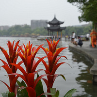 ��������~~~~