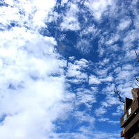 ��÷�⣬�Ӻ����꣬���������