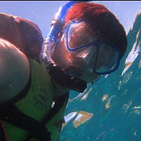 ������ǱKOTAO,�����࣡����