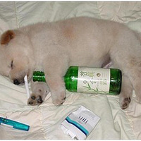 һ����Ƶ������ѧǰ����ѧ��ľޱ�