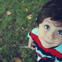 ��Щ�괿������ǣ�����