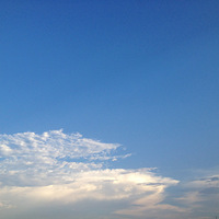 ������ƣ�������ɷ���