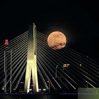 ��������������������ҹ�� �㿴������