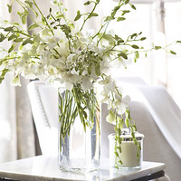 �����Ľ��