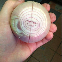 �����Ҳ���