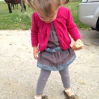 ���˵������ǣ�