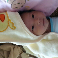 �����ı���