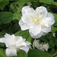 �������ذ�������~~  �����壩