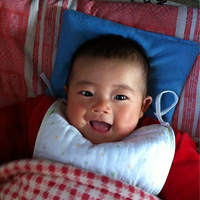 ����������