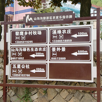 ɽ������ӥ����