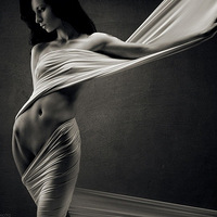 Vadim Stein������˹��Ӱʦ