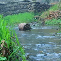 �ߵ����ĵ���