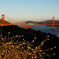 �ȶ�Ϊ��--�ᴩ������֮���Ŵ���