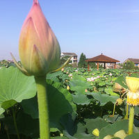 ����������