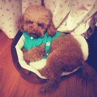 �ҼҺ�����