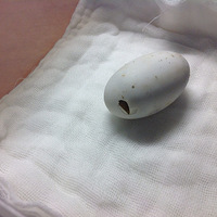 ����������