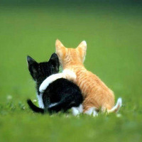 ������������С����д��PK  С���������������Ƶ� 