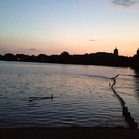 �峿������