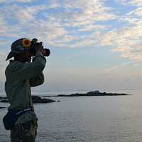 �ഺ  ���Ĵ�����