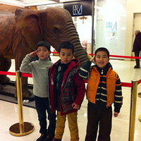 �ɰ��ĺ�����