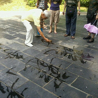 ��Ҳ��һ������