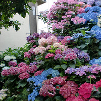 �������磡��