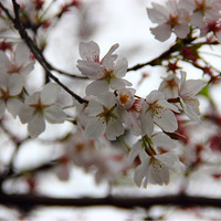 �ֻ��������