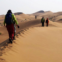 ͽ��ɳĮ������������