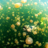 �����۾�����һ�¡����ҵ����ϰ��꾫����Ʒ