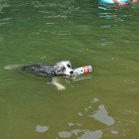 �����������˹�ͬ�Σ�ˬ����  -(���ݱ�������Ⱥ���