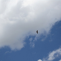 ����ʧ���ɹ��峺�����   ȥѰ����ʧ��ˮ��ɭ������Լ�