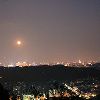 ҹ����������С��ϲ ��� Ϭţ�� ѡ������Ƭɹɹ