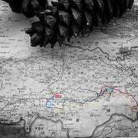 ��ONCE��ON THE ROAD���������ε������ӣ�����ɣ�