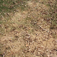  ���¶��� ��Ƥ������