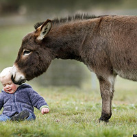 ��ܰ��һ�꺢ͯ������Сë¿��Ϸ(��ͼ)